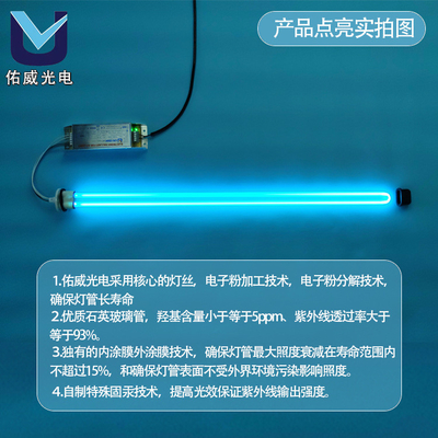 Amalgama industriale LTC24W/2G11 di purificazione dell'odore della luce UVC di forma di U 40w